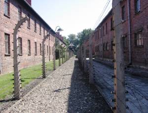 osviencim_10_original