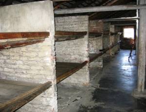 osviencim_1_original