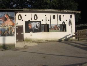 ranc-zilina1_original
