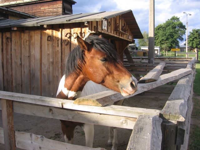 ranc zilina4 original