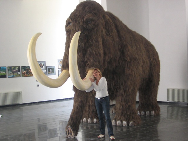 Krasno nad Kysucou muzeum