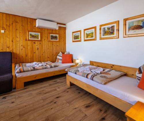 alpinka-oscadnica-ubytovanie-apartman-e-002_original_copy_1